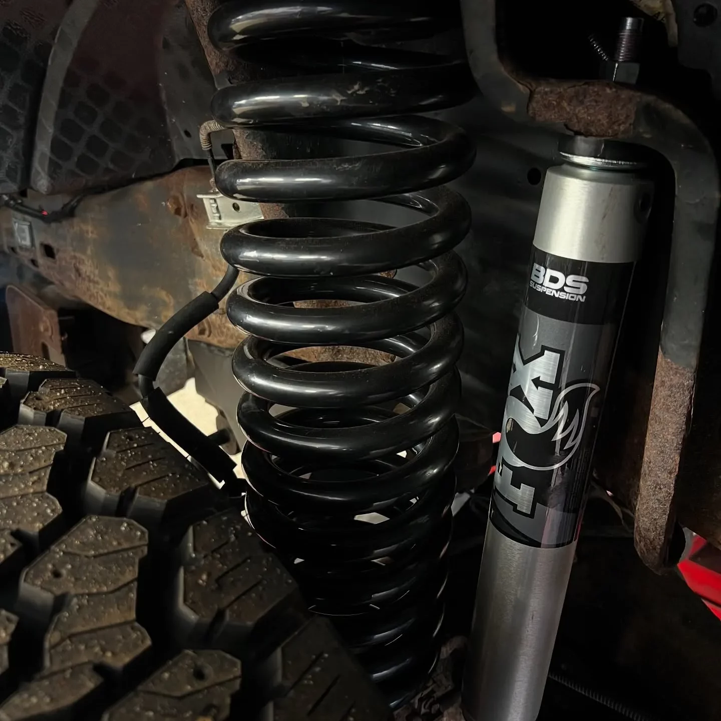 shocks and struts-squeezed
